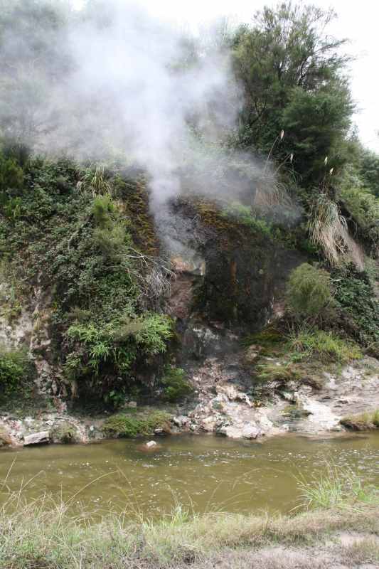 Nieuw-Zeeland 2011 - 0724